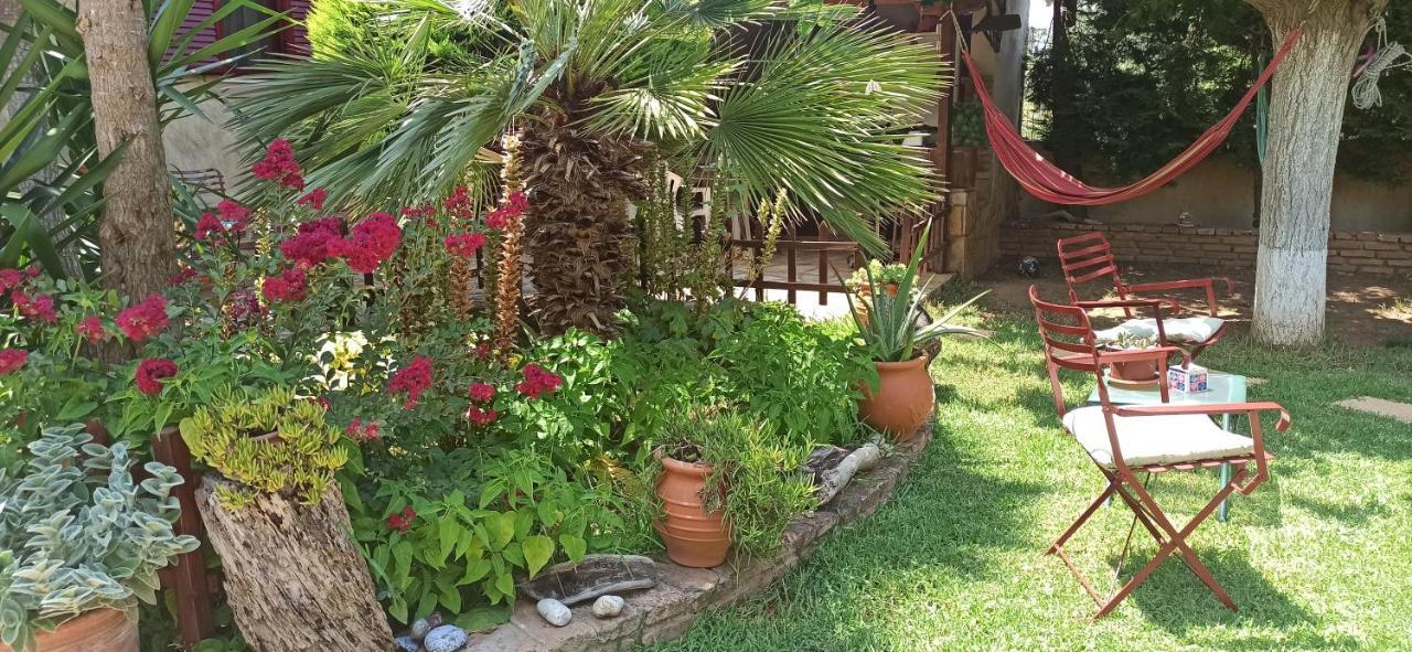 Mozart House Studio Amarynthos Exterior photo